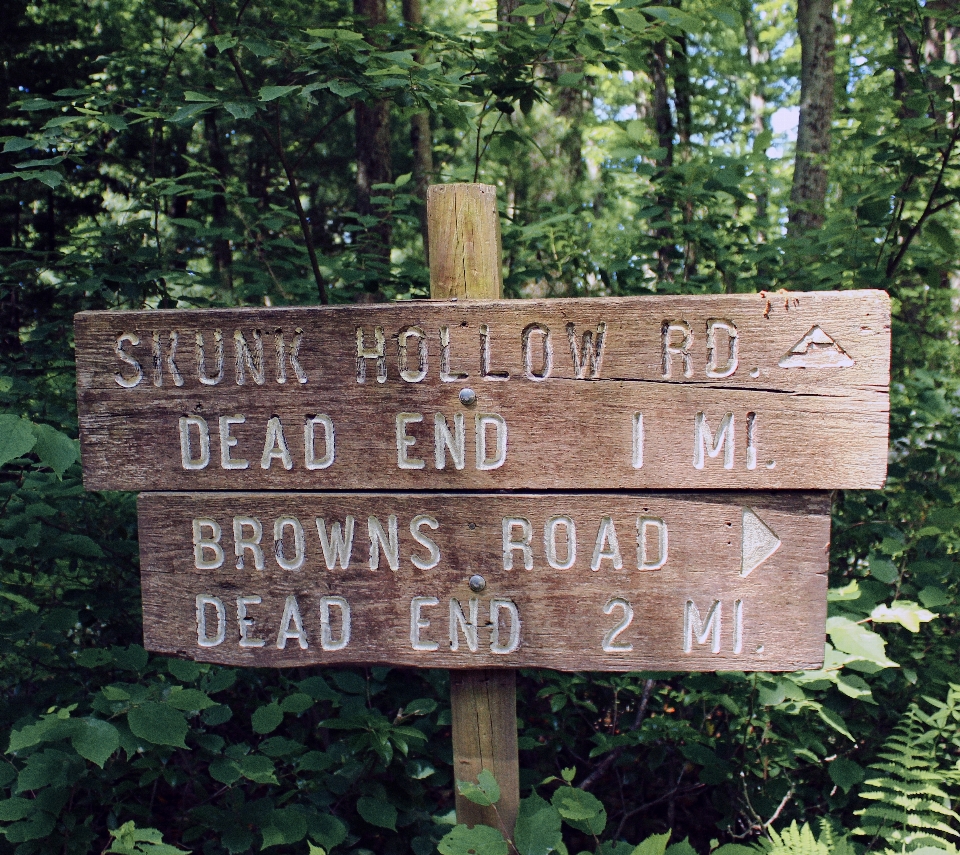 Trail summer sign signage