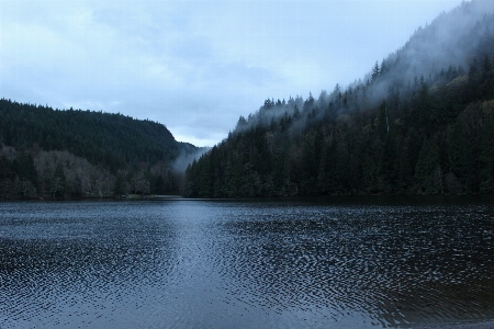 Landschaft baum wasser natur Foto