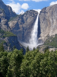 Baum wasserfall wildnis
 berg Foto