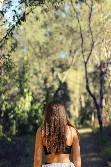 Albero natura foresta erba