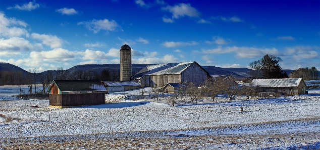 Landscape sea mountain snow Photo