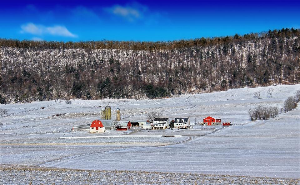 Paisagem montanha neve inverno