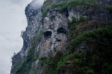 木 rock 滝 山 写真