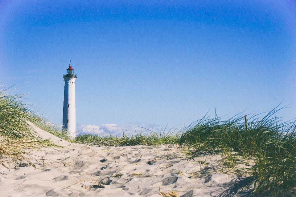 Plage mer côte herbe