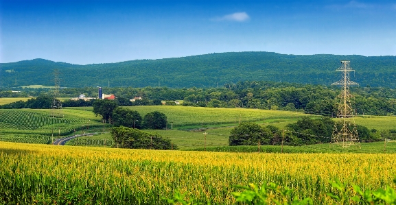 Landscape mountain plant sky Photo