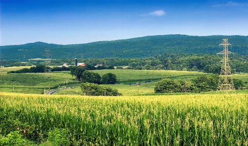 Landscape nature grass mountain Photo