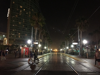 Pedestrian light road traffic Photo