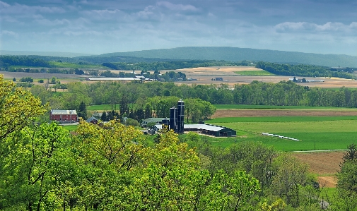 Foto Paisagem árvore grama montanha