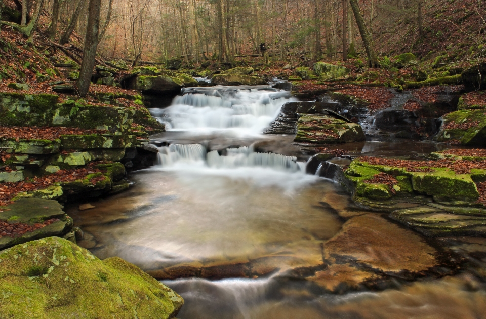 Landscape water nature forest