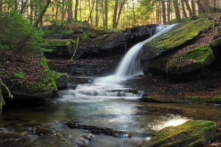 Landscape tree water nature Photo