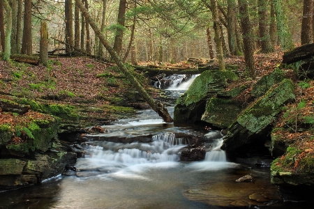 Landscape tree water nature Photo