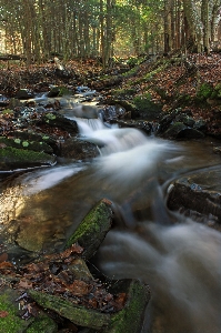 Landscape tree water nature Photo