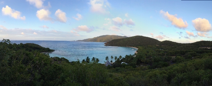 Landschaft meer küste baum Foto