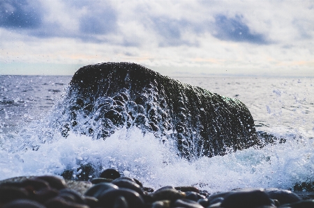 Beach sea coast water Photo