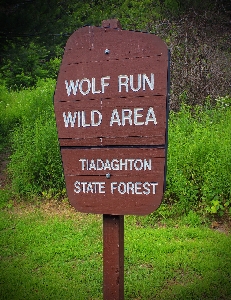 Hiking trail summer sign Photo