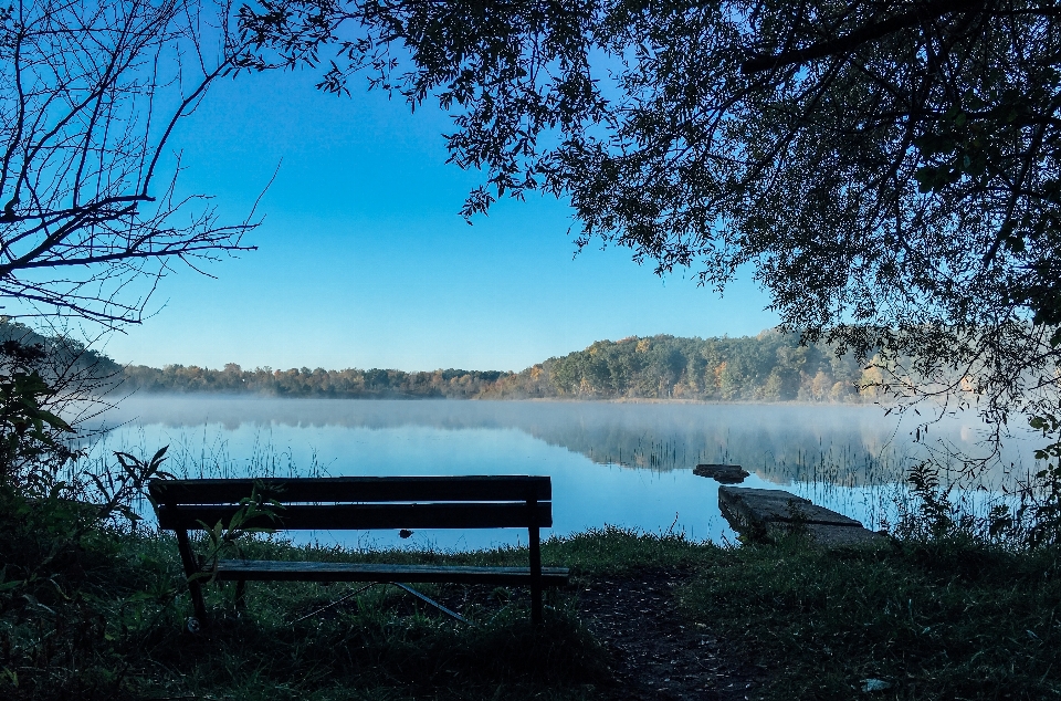 Landschaft baum wasser natur