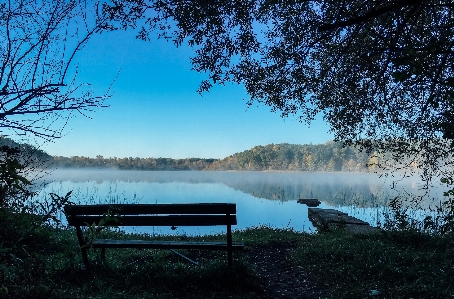 Фото пейзаж дерево вода природа