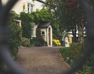 Tree road street villa Photo