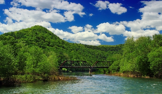 Foto Paisaje árbol naturaleza arroyo
