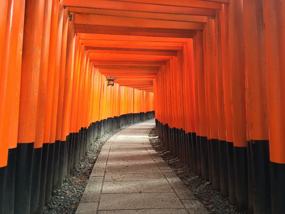 Chemin sentier architecture bois