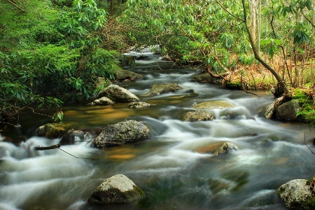 水 森 滝 クリーク
 写真