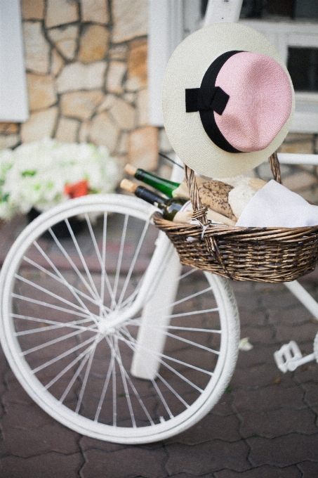 Wein weiss rad fahrrad