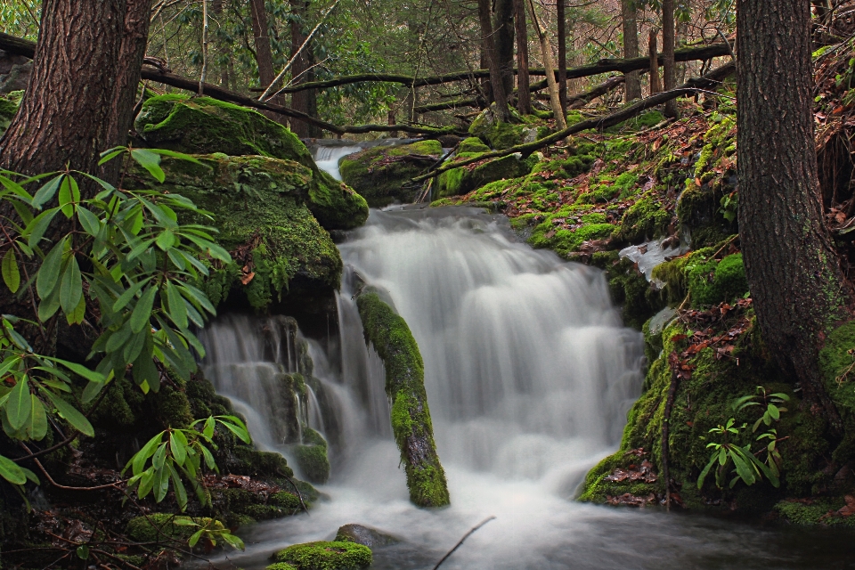 Wasser natur wald wasserfall