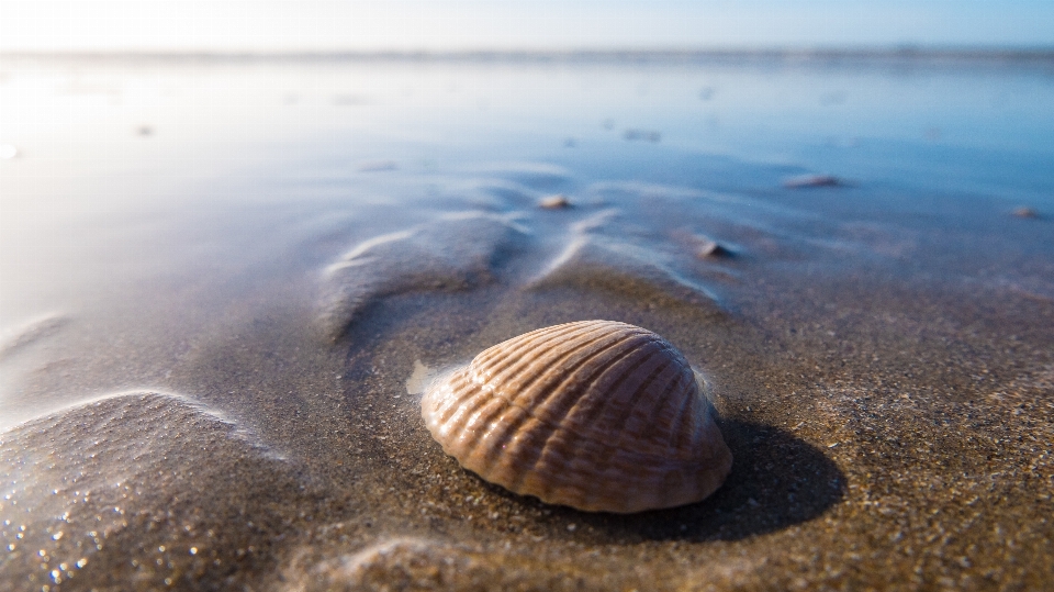 Beach sea water sand