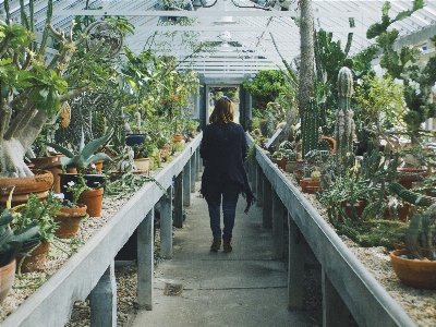 植物 女性 花 生産 写真