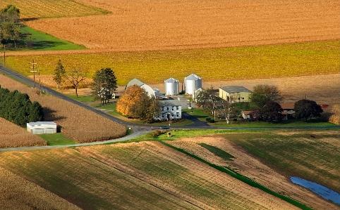 Foto Paesaggio erba campo azienda agricola