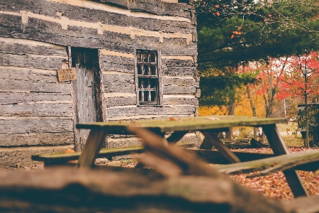 Holz haus scheune heim Foto