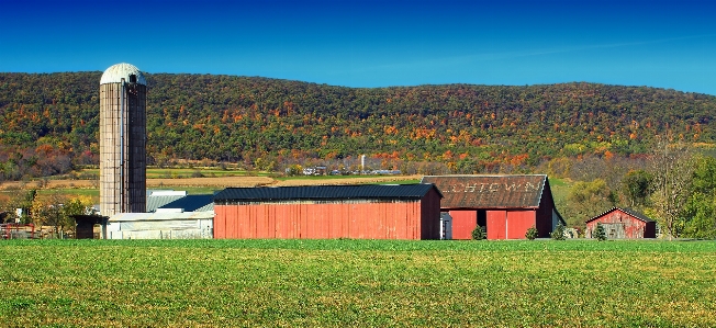 Landscape grass mountain sky Photo