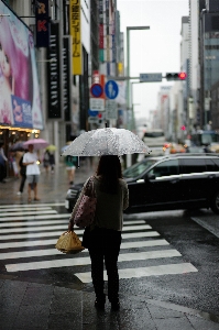 Pedestrian woman road street Photo