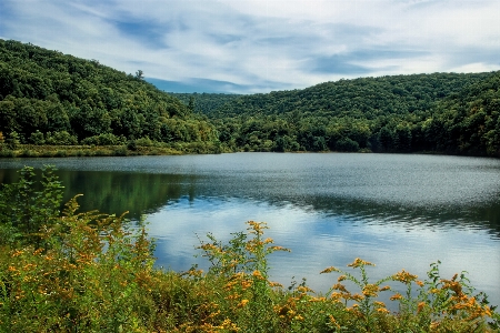 Landscape tree water nature Photo