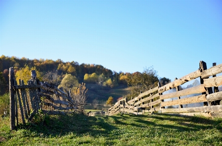 Landschaft baum zaun holz Foto