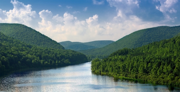 Landscape tree water nature Photo