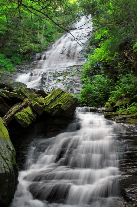 Eau nature forêt cascade