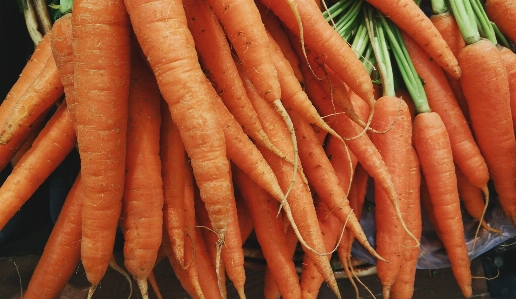 Food produce vegetable carrot Photo