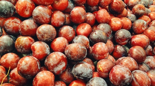 Plant fruit berry food Photo