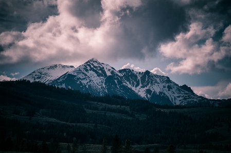 Landscape nature forest mountain Photo