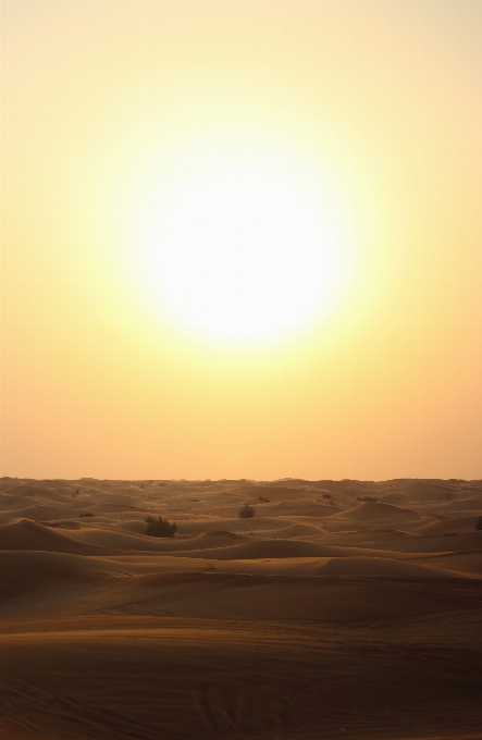 景观 沙 地平线 太阳