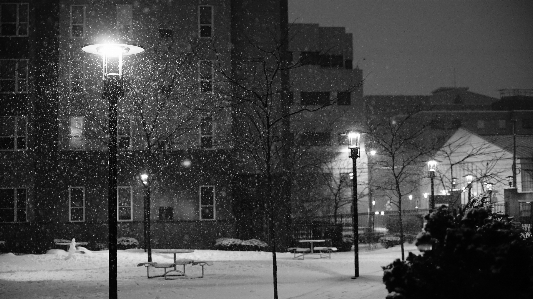 Foto Neve inverno preto e branco
 rua