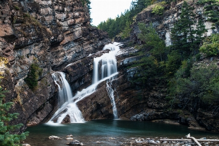 Foto Albero acqua rock cascata