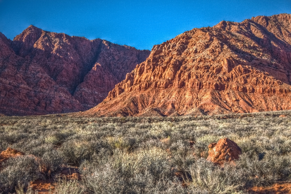 Landschaft gras rock wildnis
