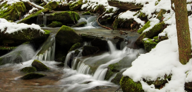 Landscape tree water nature Photo