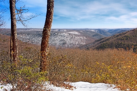 Landscape tree nature wilderness Photo