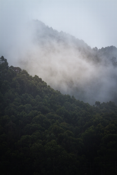 Natur wald berg wolke