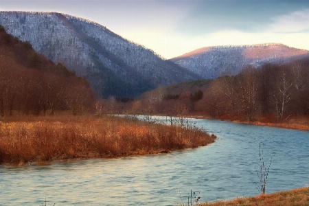 Foto Paesaggio acqua natura torrente
