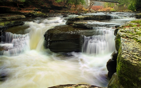 Water nature waterfall creek Photo