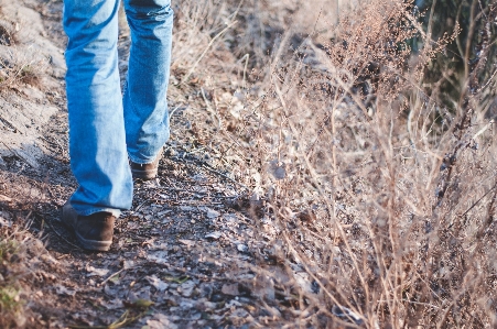 Foto Foresta erba a piedi persona